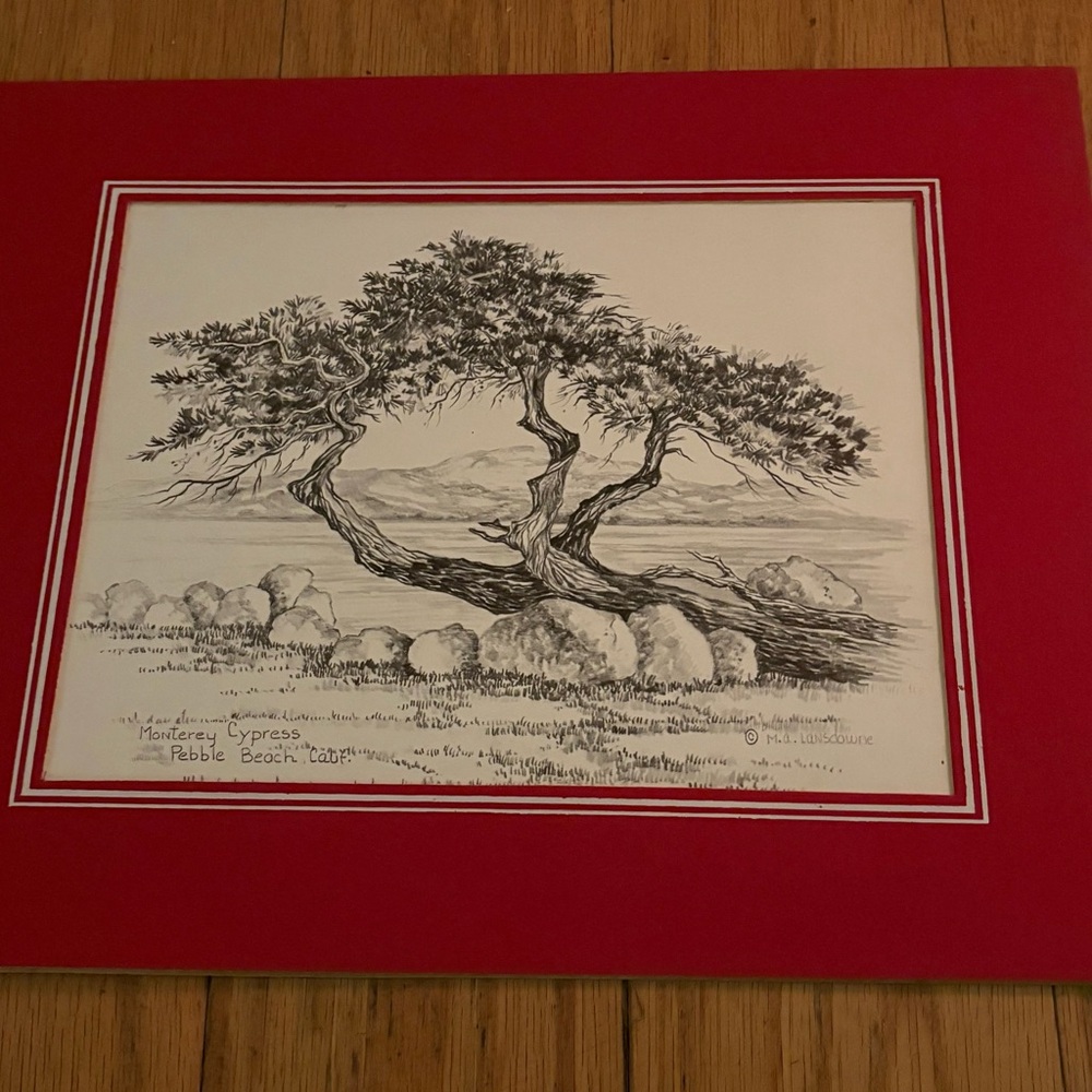 Monterey Cypress Pebble Beach. CA Print with Red Matting by Mary Agnes Lansdowne
